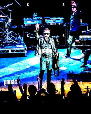 Blue Oyster Cult Albuquerque