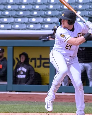 Salt Lake Bees Albuquerque